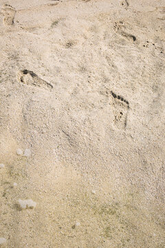 Trace de pas sur la plage de sable blanc de l'Ile aux Cerfs, Ile Maurice, Trou d'Eau Douce, Oc&eacute;an Indien, Afrique