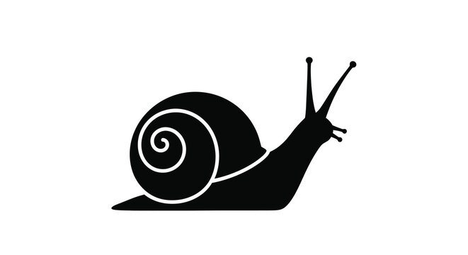 Black snail silhouette against a white background silhouette