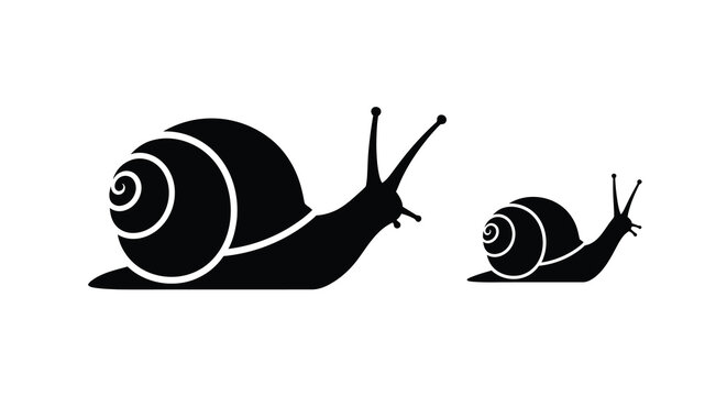 Two Snails In Black Silhouette Style Against White Background