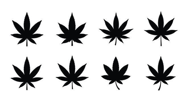 Cannabis leaf silhouettes on a white background a botanical illustration silhouette