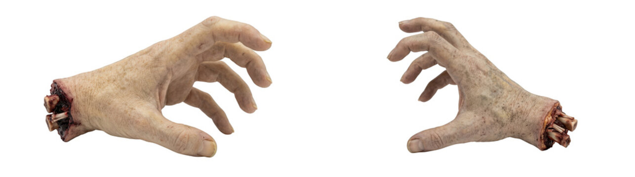 Two severed zombie hands isolated on transparent background