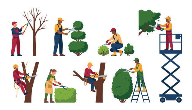 Tree trimming transparent gardeners vector set. Professional arborists cutting branches with chainsaws, pruning shears, hedge trimmers, hydraulic scissor lift.