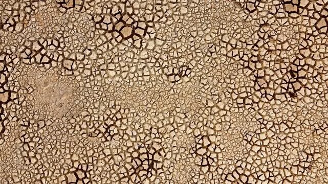 Abstract pattern of cracked earth, dry mud texture, showing drought and arid conditions