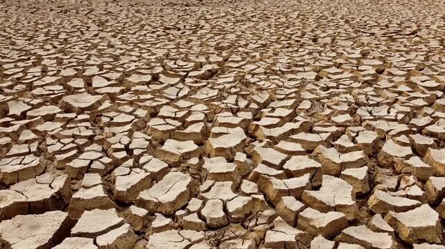A wide shot of barren, cracked earth under a stark sky. The parched ground stretches endlessly, showcasing the devastating effects of drought
