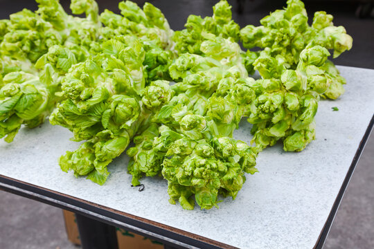 Fresh er cai displayed at Taiwan market