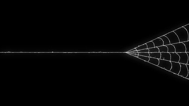 Superhero spider web animation on black screen background, dynamic web shooting VFX element for action scenes, ultra high definition 4k motion graphics video overlay