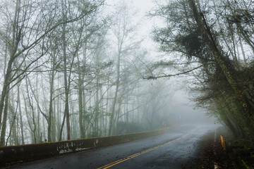 Fototapeta premium Foggy Curve With Guardrail on Mountain Road
