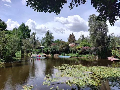 Trajinera with Passengers Drifting Along Peaceful Xochimilco Canal, Mexico City