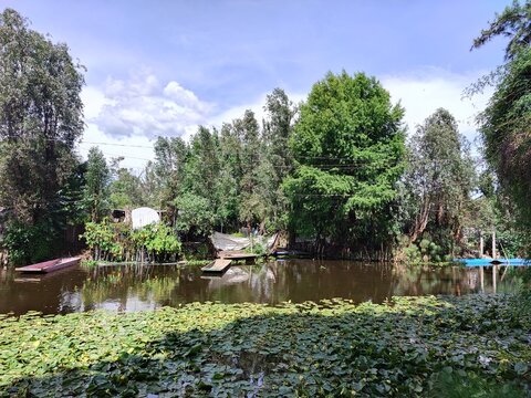 Rustic Lakeside Homestead Reflected in Still Waters of Xochimilco Canal, Mexico City