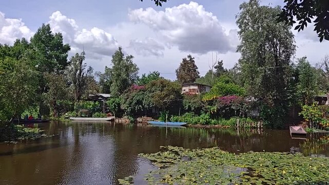 Tranquil Xochimilco Canal with Traditional Boats Docked Among Lush Greenery, Mexico City
