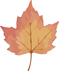 Fototapeta premium Watercolor Autumn Maple Leaf Illustration