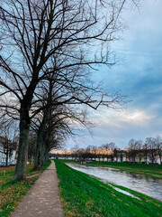 Fototapeta premium Bare Trees Lining Riverside Pathway at Dusk