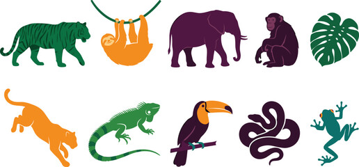 Fototapeta premium Tropical Rainforest Animal Icon Set with Tiger, Sloth, Elephant, Monkey, Toucan, Reptiles, and Jungle Wildlife Illustrations