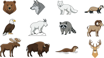 Fototapeta premium North American Wildlife Animal Collection with Bear, Wolf, Eagle, Moose, Bison, Deer, and Forest Mammal Vector Illustrations
