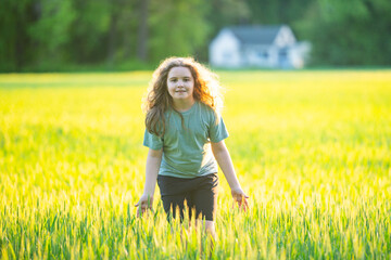 Obraz premium Countryside meadow feels bright and peaceful. Rural countryside supports healthy lifestyle. Countryside scenery creates freedom concept. Countryside walking feels calm outdoors.