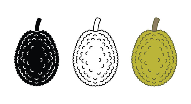Custard Apple Illustrations Black Silhouette Line Art And Green Version