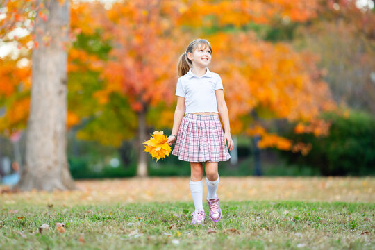 Leaves in girl hand. Leaves match autumn foliage. Yellow leaves in child portrait. Maple leaves outdoors in park.