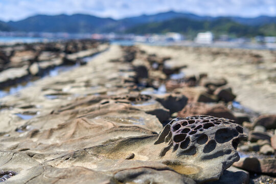 Close-up view of honeycomb weathered sandstone rocks on a coastal shoreline, showcasing intricate tafoni erosion patterns with circular holes and porous textures in the foreground. The shallow depth