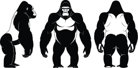 Black and white illustration of a silverback gorilla in front and side profile views © Milon Store