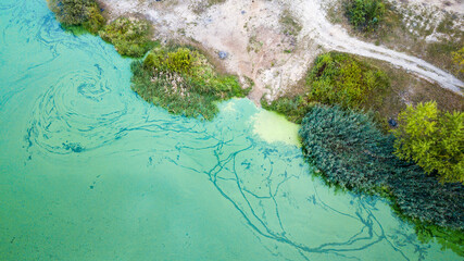 coral reef in the sea © Piotr