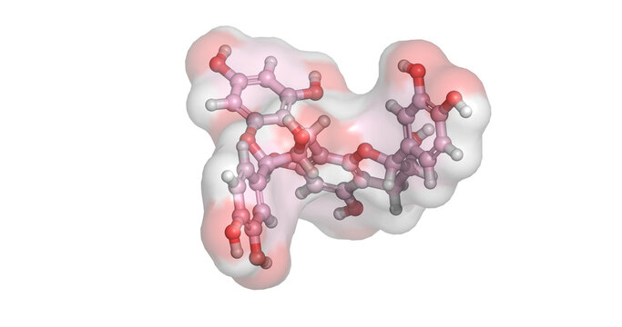 Procyanidin B2, antioxidant and flavonoid for cardiovascular health and hair growth stimulation, 3D molecule 4K