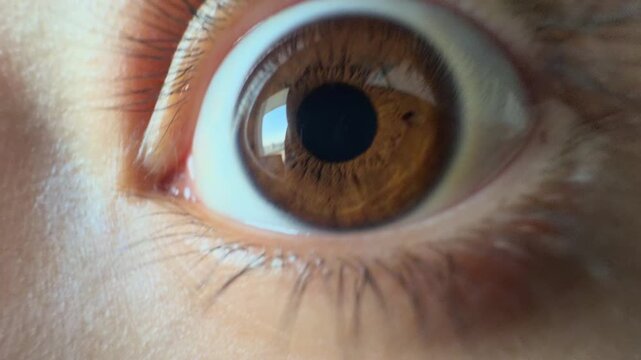 Close-up of human brown eye blinking, squinting and widening in surprise, showing detailed iris texture, eyeball movement and pupil dilation reflecting a window