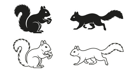 Obraz premium Squirrel Silhouettes And Line Art On White Background