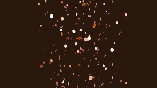 Initial release sending petal confetti falling down studio dark-brown backdrop, soft light