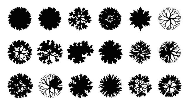 Detailed solid black landscape tree canopies featuring internal branch networks for master plans