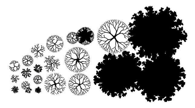 Overhead skeletal branch networks and solid tree canopies for winter landscape master plans