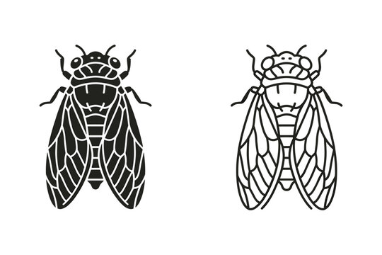 Two stylized cicada insects, one solid black and one outline illustration