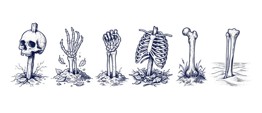 Human skeleton bone hand drawing set with skull on post, ribcage, creepy arm rising from ground, and leg bones in soil for Halloween horror design elements, engraving style isolated on white.