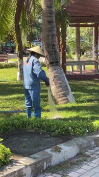 Municipal groundskeeper watering park lawn in blue uniform and conical straw hat, standing beside flowing hose under bright midday sun with palm trees, pavilion and trimmed hedges