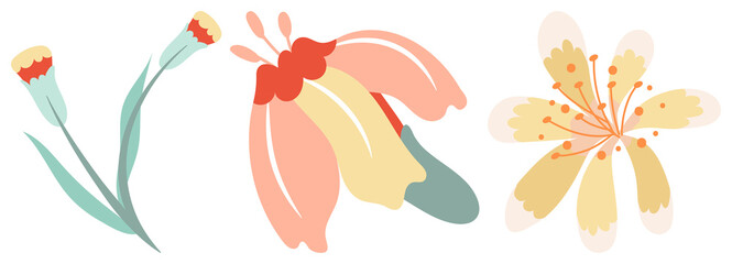 PNG Colorful abstract floral illustration element set on transparent background © Rawpixel.com