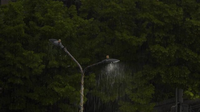 Street lamp illuminating heavy pouring rain against a dark green trees background at night. Moody atmospheric shot of rain drops falling under the streetlight beam, storm weather concept