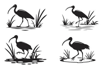 Fototapeta premium Four black silhouettes of cranes standing in water