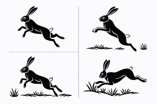 Black and white rabbit running illustrations