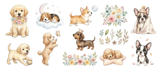 Charming Puppy Dogs with Flowers and Botanical Elements in Delicate Watercolor Style. Collection of Vector illustrations for invitation, card, poster, banner, decoration  © maria