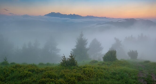 Scenic landscape of mountain range in morning mist at sunrise. Fog covering green hills and pine trees in Pieniny and Tatra national park. Beautiful outdoor nature background in Europe.