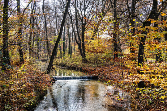 Golden autumn view in famous Munich relax place - Englischer Garten. Munich, Bavaria, Germany