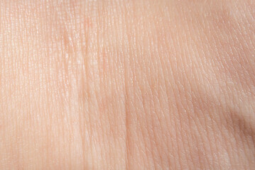 Fototapeta premium Subtle organic structures forming intricate patterns on human skin 