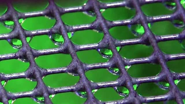 Shimmering water droplets cling to a dark, woven lattice, forming delicate spheres against a vibrant emerald backdrop.
