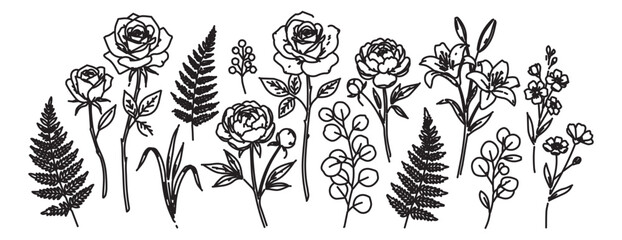 Hand drawn botanical line art collection, black ink floral sketches of roses and lilies, elegant wildflower and fern leaf vector set for wedding stationery © Rehman