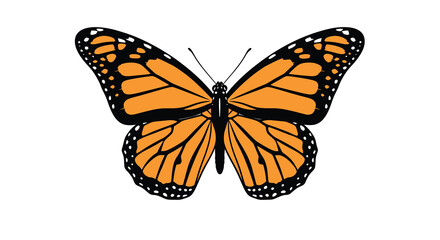 Orange monarch butterfly with detailed wing patterns presented as a flat vector silhouette insect lepidoptera wings black illustration graphic design © Creativekhairul02