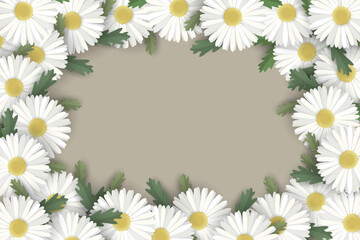 Fototapeta premium Flower frame with daisies on beige background.