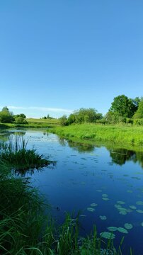 River and forest №2