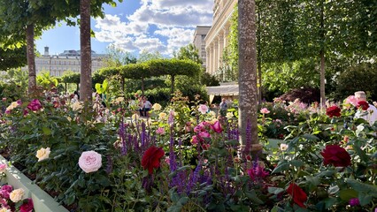 Beautiful public park garden filled with blooming colorful roses and lavender flowers on a sunny summer day. Scenic urban green space oasis for relaxation, landscape design background. © Zita Khasanova