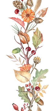 Autumn botanical seamless garland, watercolor hand-drawn design element. Colorful and beautiful composition of flowers, twigs, leaves, acorns, pinecone, and berries. For decorative tape, scrapbooking