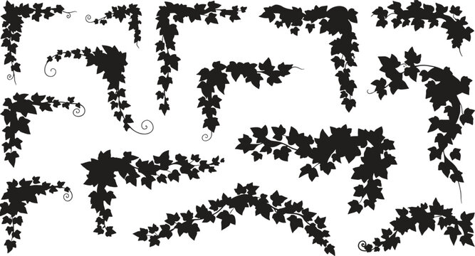 Set of ivy vine corner borders
