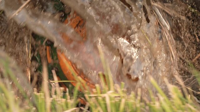 Muddy tire tread on offroad vehicle splashing dirt across wet terrain, grass, rock, leaf, water stream, insect cocoon pupa texture macro nature closeup
